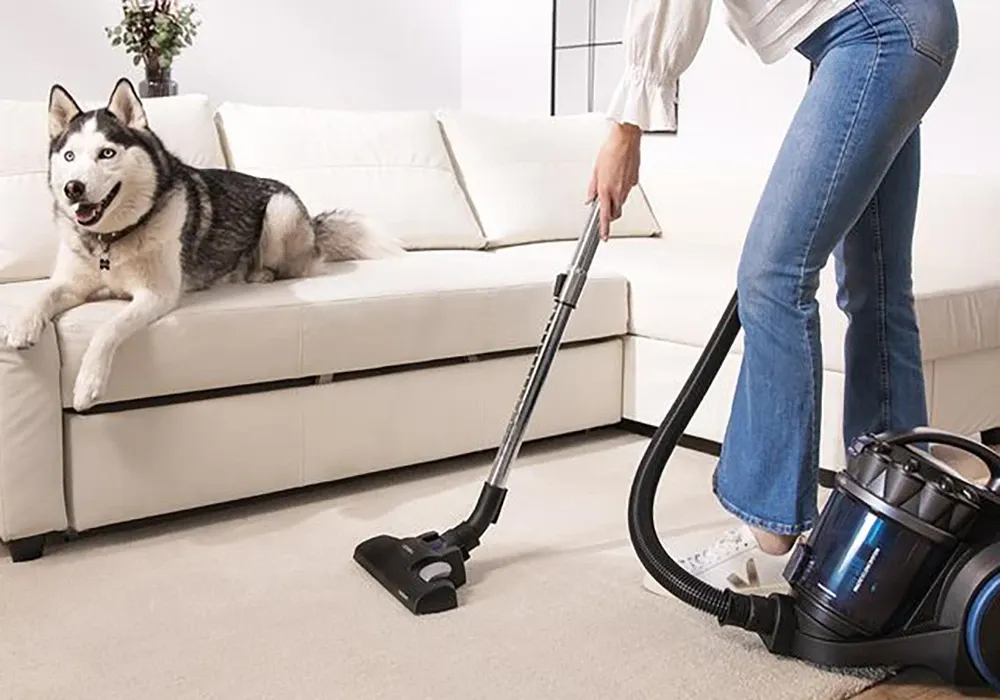 Aspirateur Traineau XL 800W Conga Rockstar Multicyclonic XXL Animal Plus Cecotec (8586) – Image 4