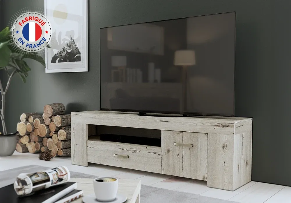 Meuble TV 1 Porte 1 Tiroir (Collection Forest)