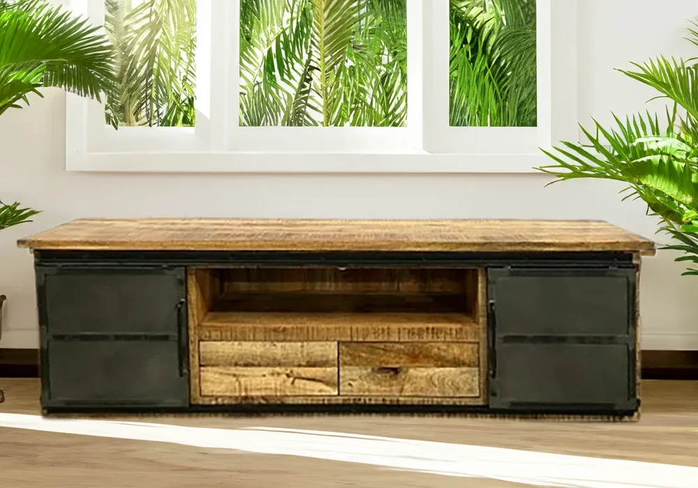 Meuble TV 2 Portes 2 Tiroirs (Collection Molissan)