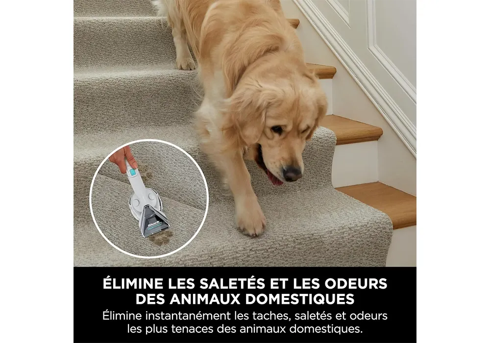 Détacheur StainStriker Shark (PX200EUT) – Image 3