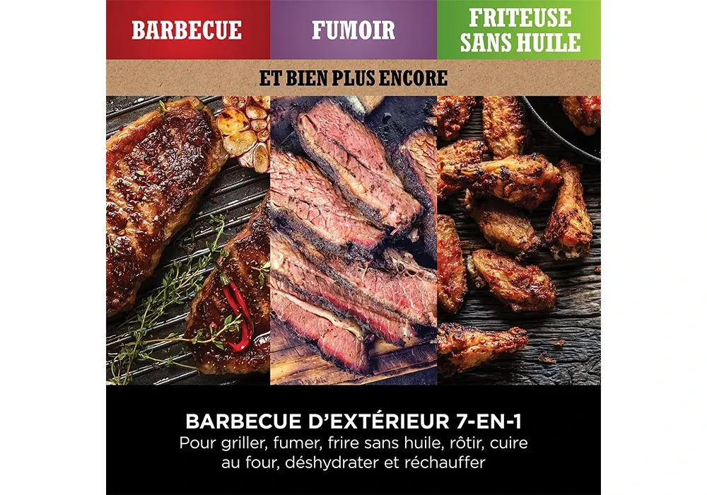 Barbecue électrique & Fumoir Woodfire Ninja (OG701EU) – Image 3