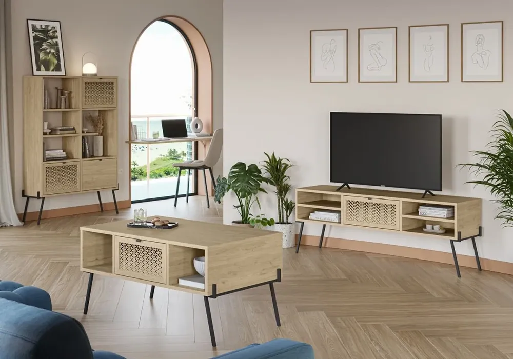 Meuble TV 1 Porte Evan – Image 2