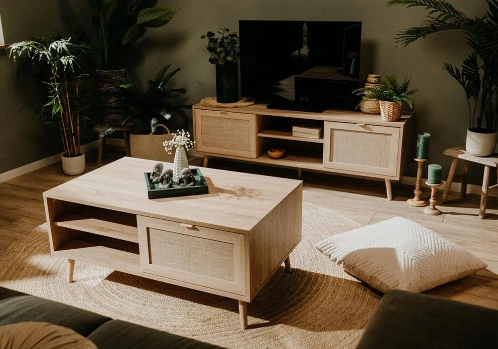 Meuble TV 2 Portes (Collection Exotic)