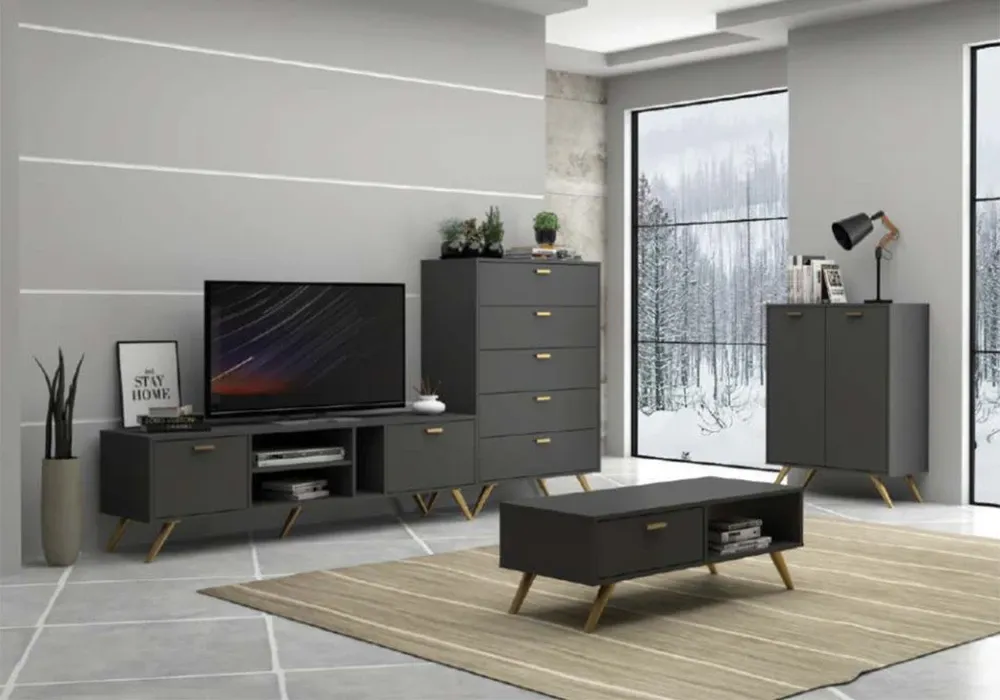 Meuble TV 2 Portes (Collection Scandi) – Image 3