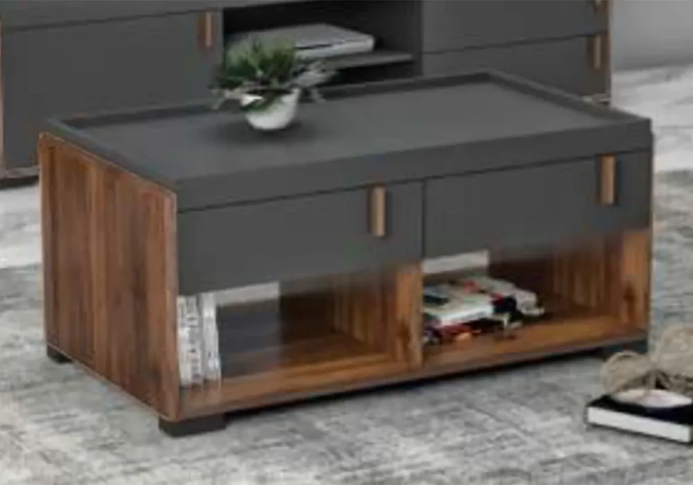 Table de Salon 2 Tiroirs (Collection Alylla)