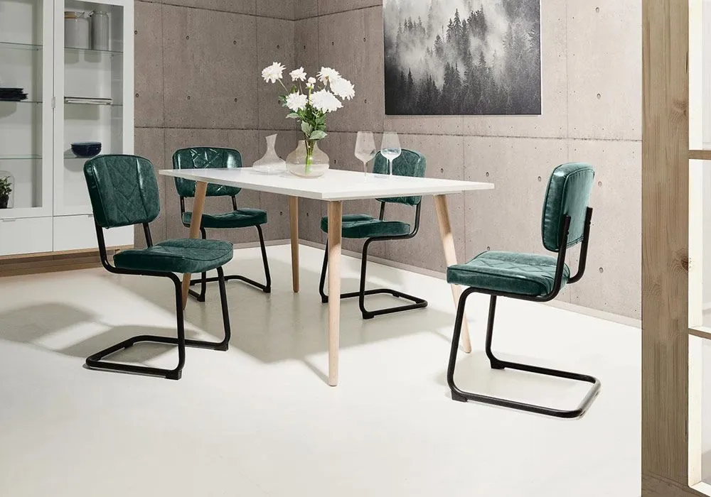 Vitrine 2 Portes 2 Tiroirs (Collection Scandinave)